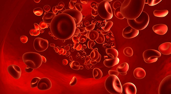 Anticoagulants Market Share 2022: Trends, Growth Rate ( 10.2% ), Industry Analysis, Report by 2027