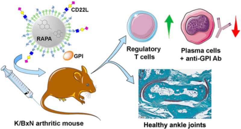 Nanotech strategy shows promise for treating autoimmune disease