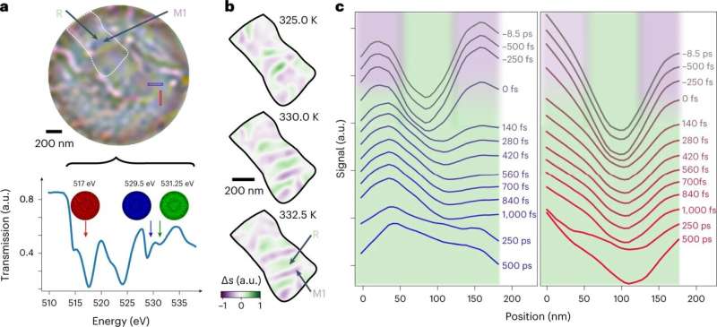 New X-ray imaging technique to study the transient phases of quantum materials