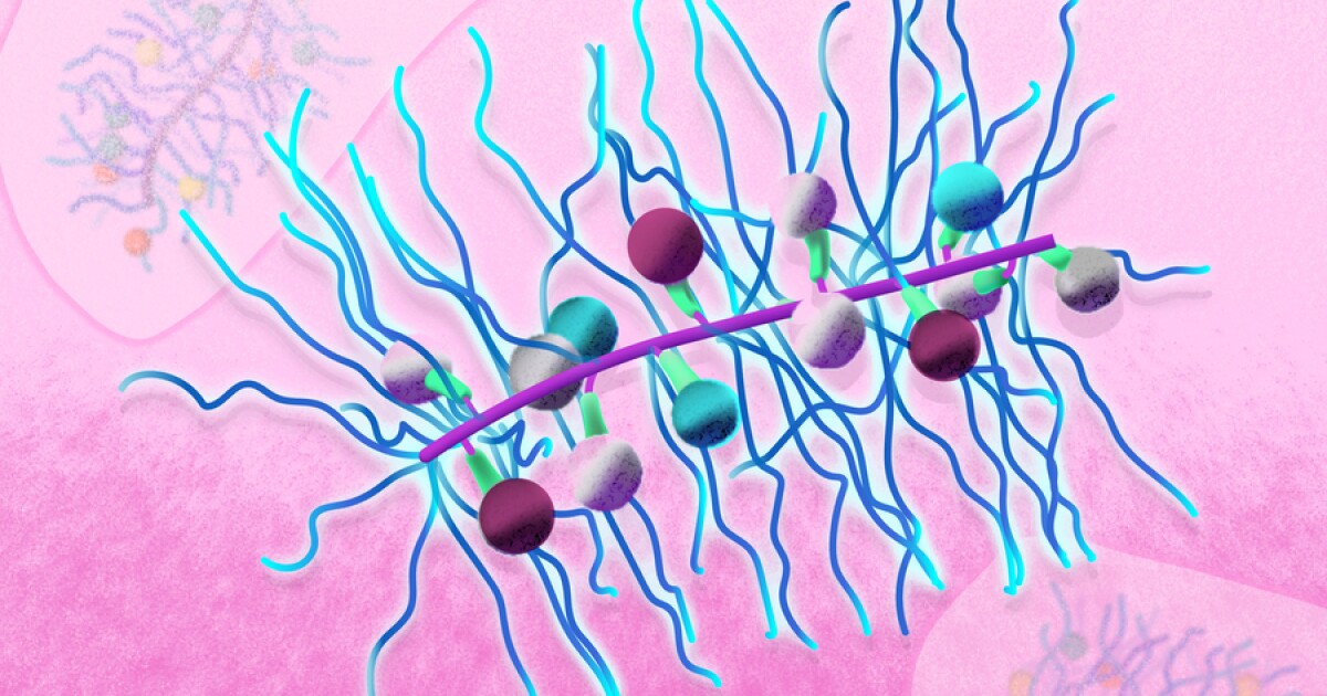 Bottlebrush-shaped molecules carry drug combos to combat cancer