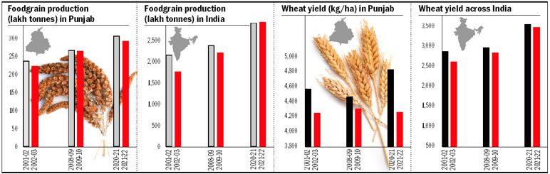 Drop in crop yield calls for course correction