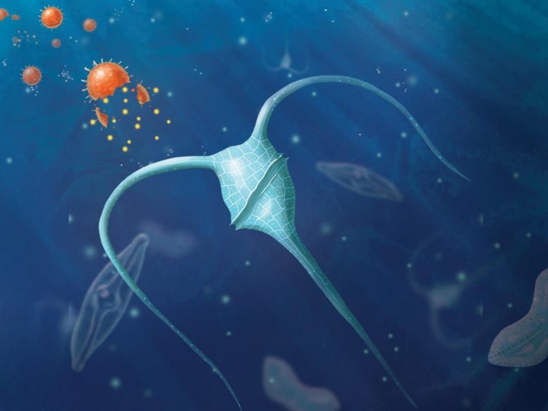 A Solution to Excess CO2? New Study Proposes Fertilizing the Ocean