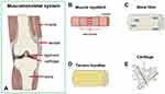 Mussel-Based Biomimetic Strategies in Musculoskeletal Disorder Treatment: From Synthesis Principles to Diverse Applications