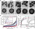 Combined Anti-Angiogenic and Anti-Inflammatory Nanoformulation for Effective Treatment of Ocular Vascular Diseases