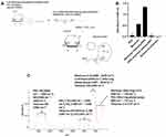 Incorporation of Targeting Biomolecule Improves Interpolymer Complex-Superparamagnetic Iron Oxide Nanoparticles Attachment to and Activation of T2 MR Signals in M2 Macrophages