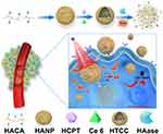 Enzyme and Reactive Oxygen Species–Responsive Dual-Drug Delivery Nanocomplex for Tumor Chemo-Photodynamic Therapy