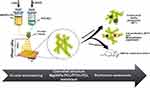 Antimicrobial and Pro-Osteogenic Coaxially Electrospun Magnesium Oxide Nanoparticles-Polycaprolactone /Parathyroid Hormone-Polycaprolactone Composite Barrier Membrane for Guided Bone Regeneration