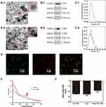 Angiopep-2 Modified Exosomes Load Rifampicin with Potential for Treating Central Nervous System Tuberculosis