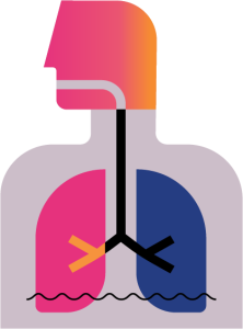 Illustration of a human body showing its lungs