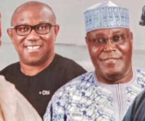 What Kwankwaso, Obi, Atiku,Tinubu Have on Digital Economy Sector