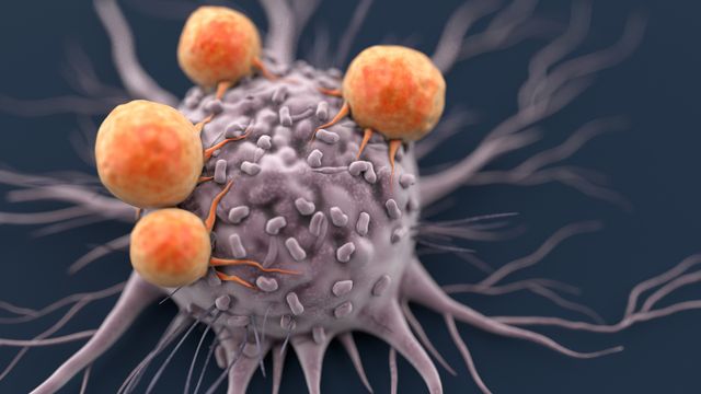 Cytokine-Labelled T Cells Boost Cancer Immunotherapies