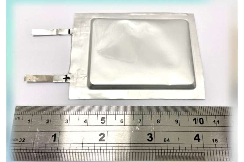 Highly performing lithium sulfur batteries based on metallic molybdenum disulfide nanosheets