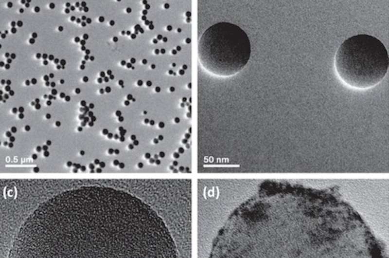 Nanomedicines for various diseases are in development, but research facilities produce vastly inconsistent results