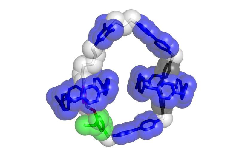 Now on the molecular scale: Electric motors