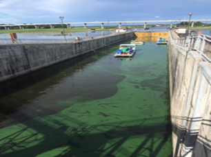 NBOT Labs Partners with Green Water Solutions to Provide Algae Remediation Services