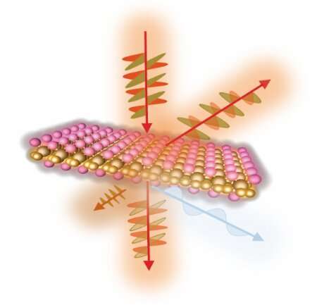 Ultrathin vanadium oxychloride demonstrates strong optical anisotropic properties