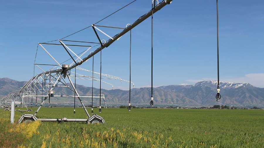 Farming in the future: Utah State University lab develops nanotech fertilizer