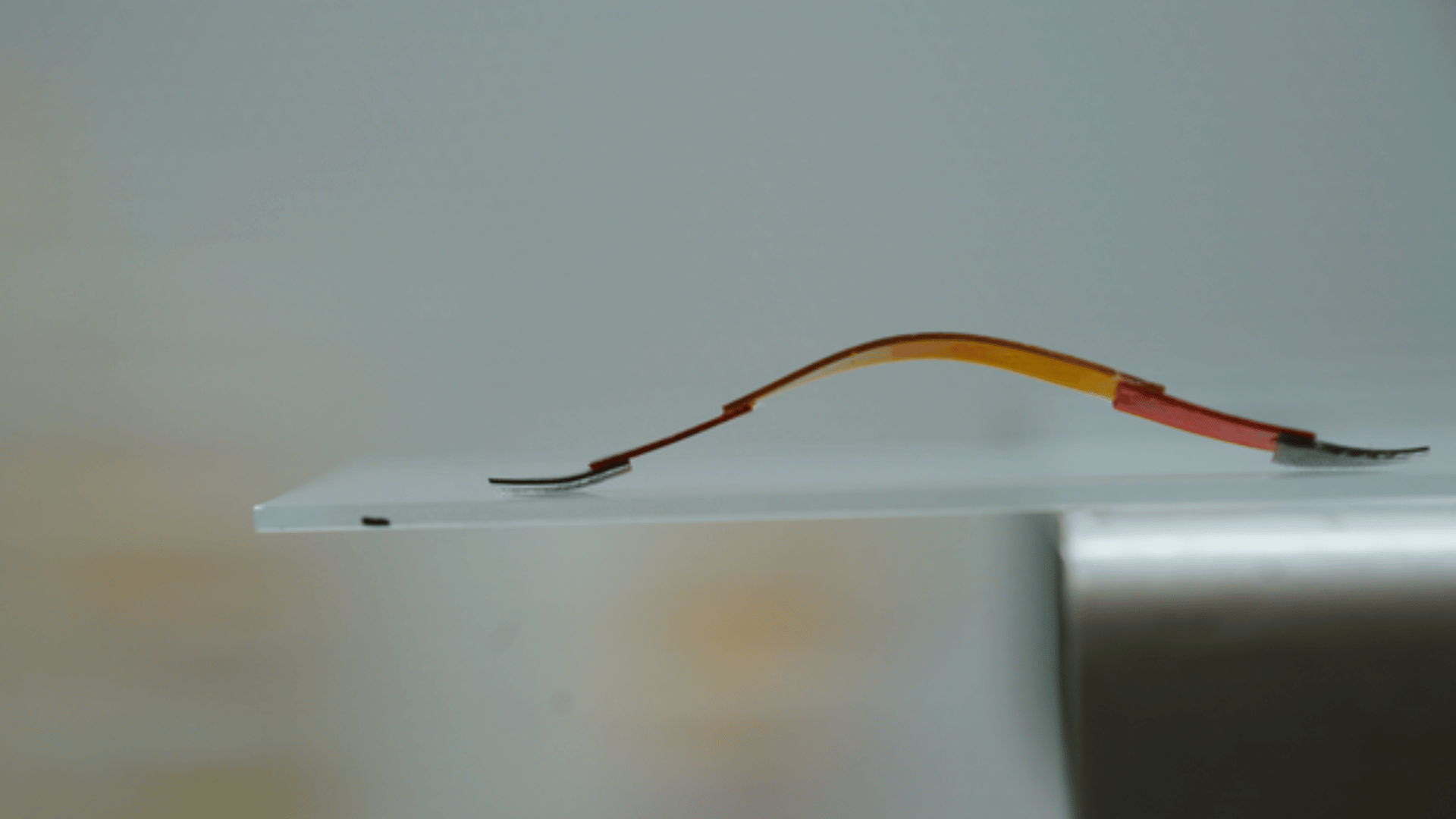 First-of-its-kind gecko robot could one day help doctors in surgeries