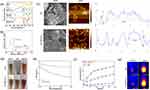 Active Hydrophilic Graphene Oxide Nanocomposites Delivery Mediated by Adipose-Derived Stem Cell for Elevated Photothermal Therapy of Breast Cancer