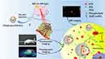 Combinatorial Polydopamine-Liposome Nanoformulation as an Effective Anti-Breast Cancer Therapy