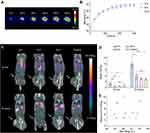 Neoadjuvant Gold Nanoshell-Based Photothermal Therapy Combined with Liposomal Doxorubicin in a Mouse Model of Colorectal Cancer