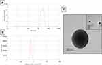 The Idiosyncratic Efficacy of Spironolactone-Loaded PLGA Nanoparticles Against Murine Intestinal Schistosomiasis