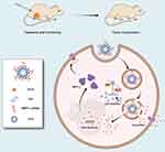 Carbon Dots-Based Nanozyme for Drug-Resistant Lung Cancer Therapy by Encapsulated Doxorubicin/siRNA Cocktail