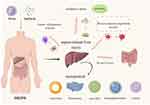 An Overview of Drug Delivery Nanosystems for Sepsis-Related Liver Injury Treatment