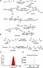 Topical Delivery of ROS-Responsive Methotrexate Prodrug Nanoassemblies by a Dissolvable Microneedle Patch for Psoriasis Therapy