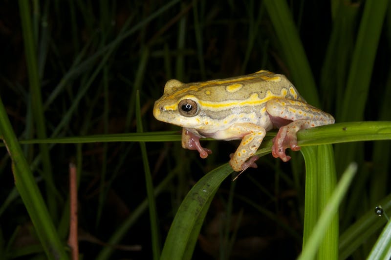 Science news in review: Feb. 5