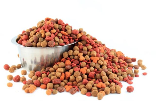 Dog Food Market Size To Reach US$ 88.1 Billion By 2028, Growth Rate (CAGR) of 4.77%