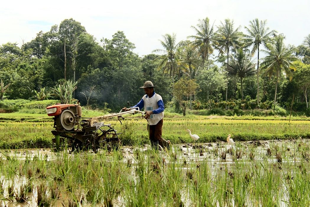 Mumbai: Nanotech fertiliser developed at IIT-B by Coromandel International