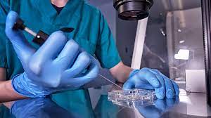 IVF Devices and Consumables Market Size 2023, Growth, Key Players, Global Industry Trends, Analysis and Forecast to 2028