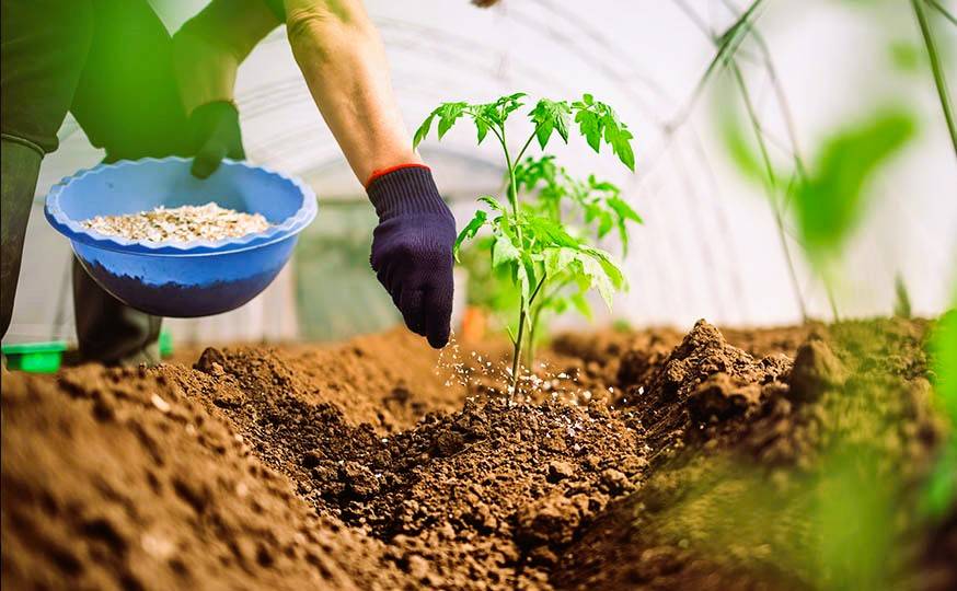 Coromandel International Develops Nano Tech-Based Fertilizer at IIT Bombay