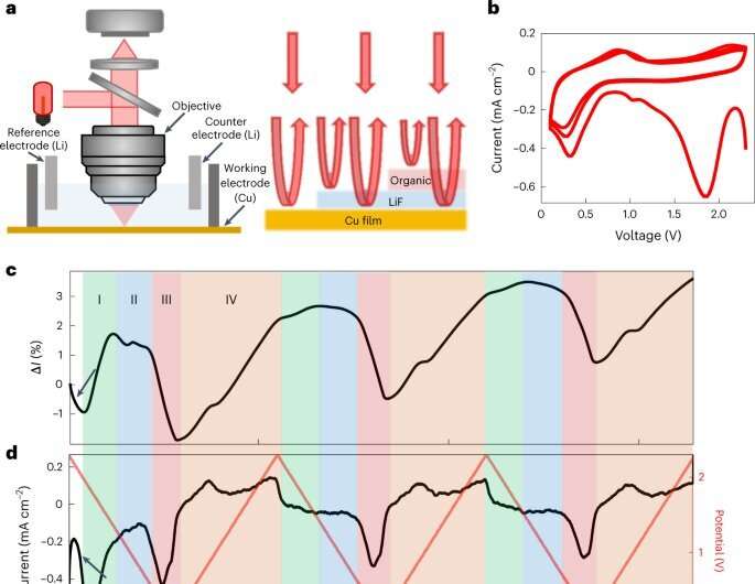 Novel microscope developed to design better high-performance batteries