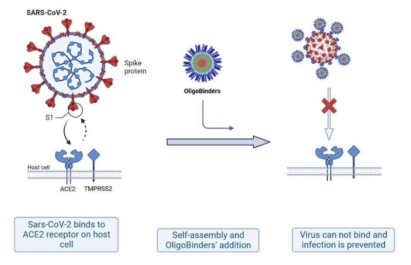 Protein-based nanoparticles designed to neutralize the SARS-CoV2 virus