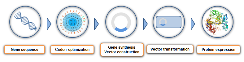 Protein Expression Market Report 2023-2028: Growth Rate Of 10.3%, Demand and Forecast