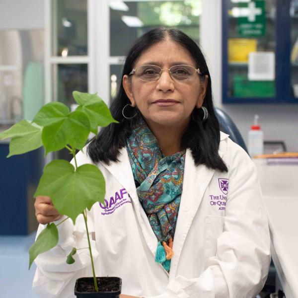 Cotton researcher Neena Mitter: one of 50 women at the cutting edge of Australian science