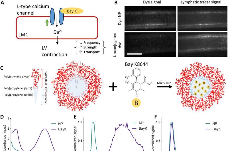 Nanotechnology could be used to treat lymphedema