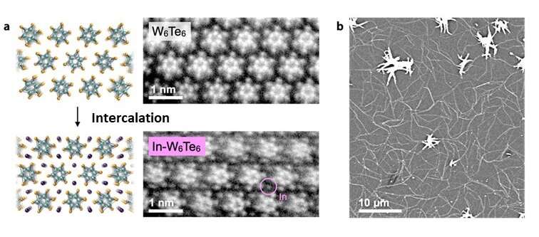 Scientists thread rows of metal atoms into nanofiber bundles