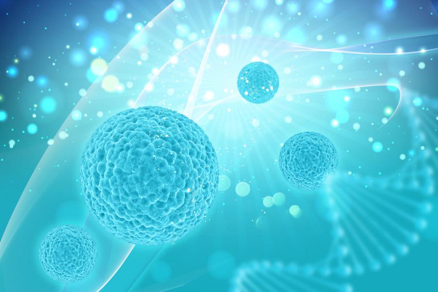 T-cell Therapy Market Report, Growth Rate, Industry Insight, Drivers and Forecast 2022-2027