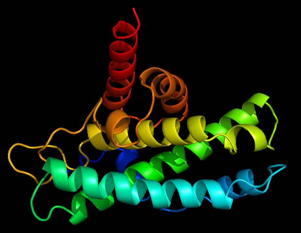 DNA origami could be used to create customized virus-like particles