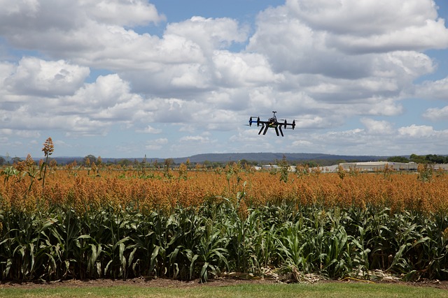 Precision Agriculture Market Size, Future Dynamics, Segments and Business Statistics 2023-2028