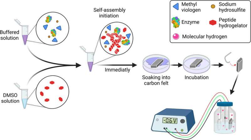 Researchers succeed in producing highly efficient, low-cost 'green' hydrogen