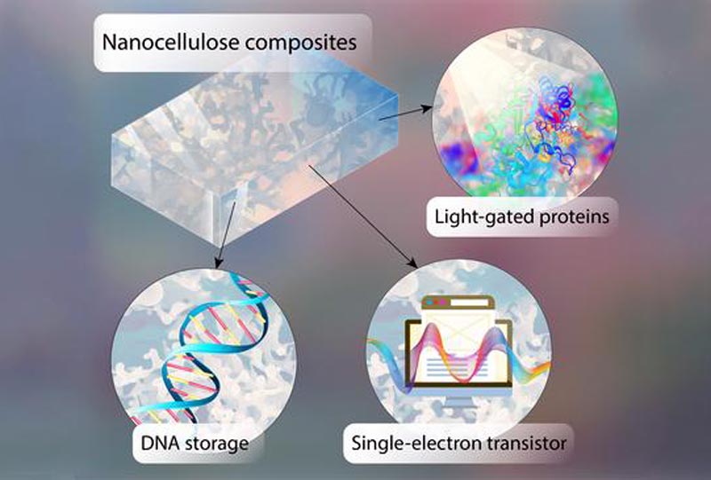 DNA Chips as Storage Media of the Future