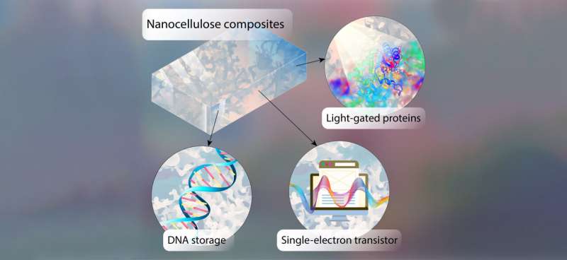 Study outlines what challenges need to be overcome to make DNA chips more applicable as storage media