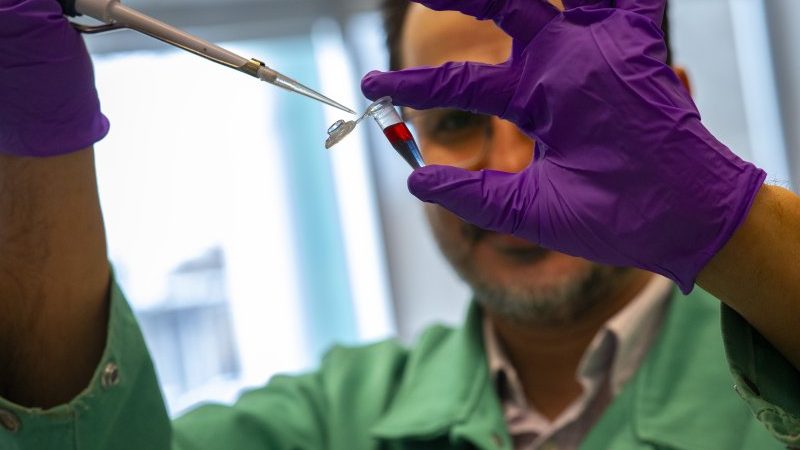 UAlbany Chemists Develop Color-Changing Test for Rapid Salmonella Detection