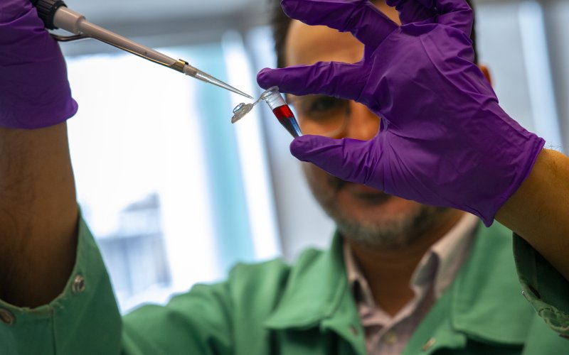 UAlbany Chemists Develop Color-Changing Test for Rapid Salmonella Detection