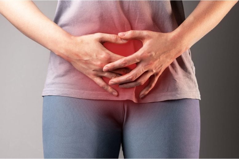 Scientists Just Found a Smarter Way to Beat UTIs