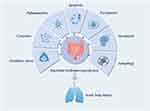 Mechanisms and Nanomedicine Interventions of Acute Lung Injury Induced by Intestinal Ischemia-Reperfusion: A Mini Review